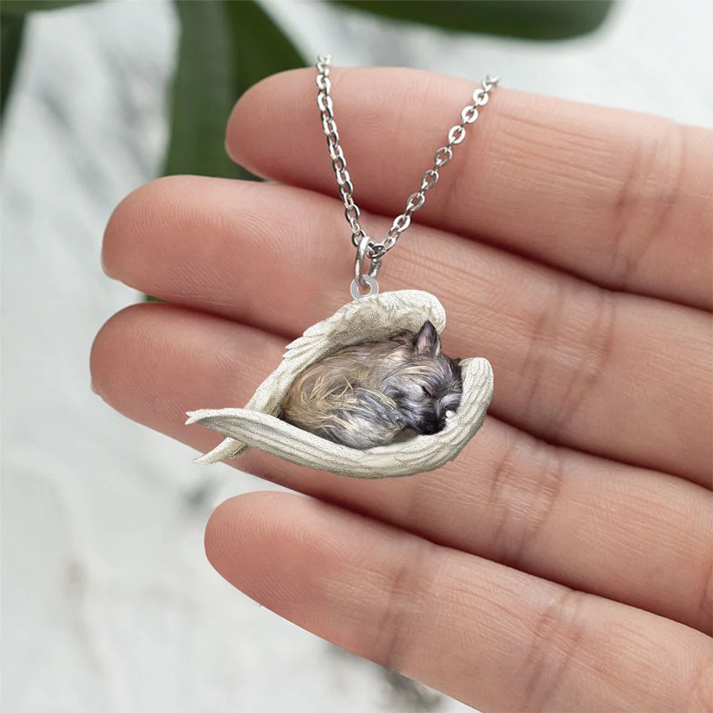 Echte Liefde | Slapende Cairn terriƫr Ketting
