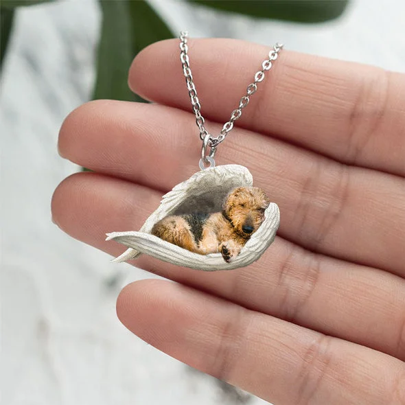 Echte Liefde | Slapende Welsh terriƫr Ketting