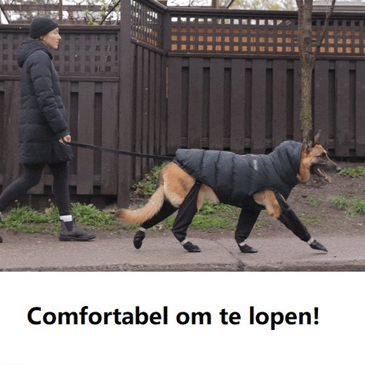 PootShield Hondenlaarzen – Weerbestendige Schoentjes voor Iedere Wandeling