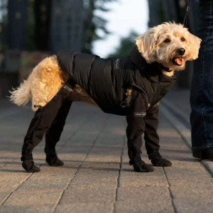 PootShield Hondenlaarzen – Weerbestendige Schoentjes voor Iedere Wandeling