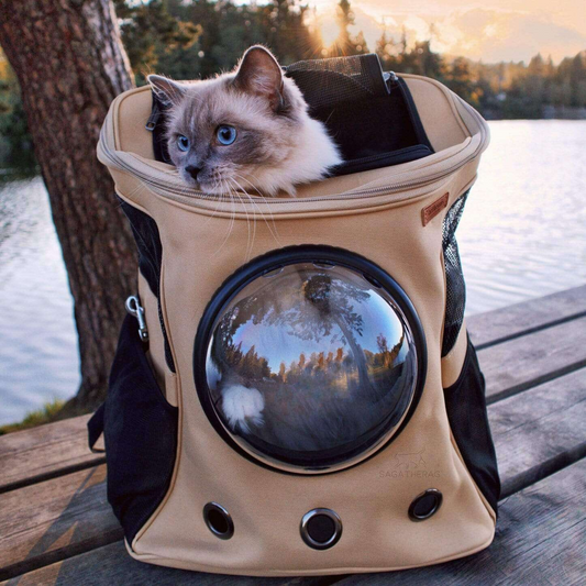 Ruimzicht Kattenrugzak – Comfortabele Huisdierdrager met Bubbelvenster