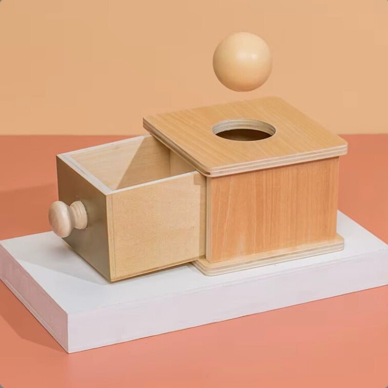 Objectpermanentie Box – Educatief Speelgoed van Kindveilig Hout – Stimuleert Cognitieve Ontwikkeling