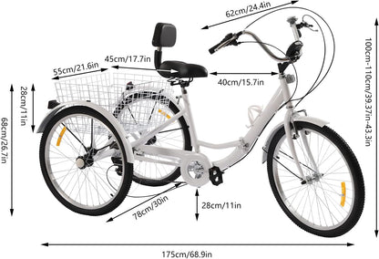 Volwassen Driewieler – 24 Inch | 3 Wielen Fiets met Versnellingen & Grote Mand | Verstelbaar & Comfortabel | Tot 120 kg Draagvermogen