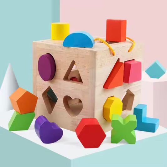 Geometrische Blokken – Educatief Speelgoed van Hout voor Creatieve Ontwikkeling en Motorische Vaardigheden