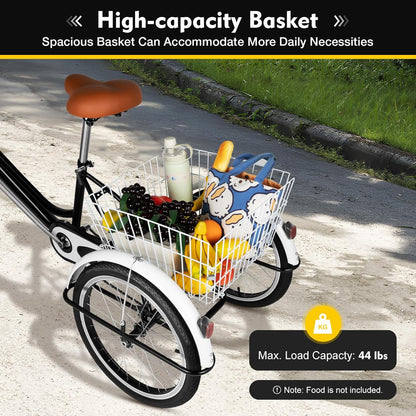 Volwassen Driewieler – 20 Inch | 3 Wielen Fiets met Mand | Verstelbaar & Stevig Koolstofstaal | Tot 110 kg – Ideaal voor Volwassenen