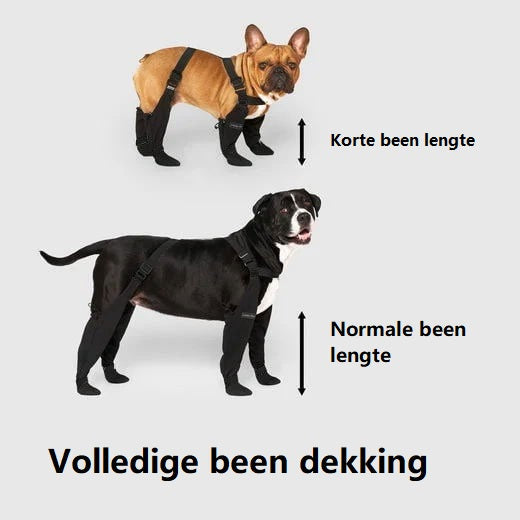PootShield Hondenlaarzen – Weerbestendige Schoentjes voor Iedere Wandeling