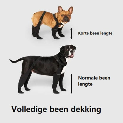 PootShield Hondenlaarzen – Weerbestendige Schoentjes voor Iedere Wandeling