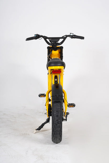 Fat-bike | FT06 Lambo