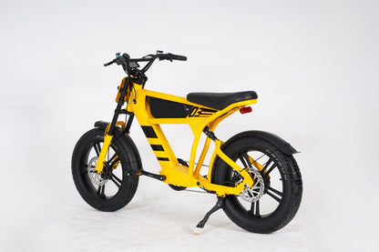 Fat-bike | FT06 Lambo
