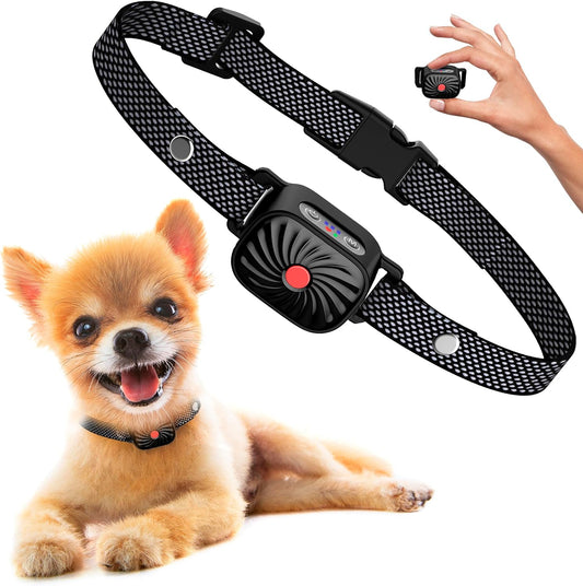 Anti-blafhalsband voor kleine honden