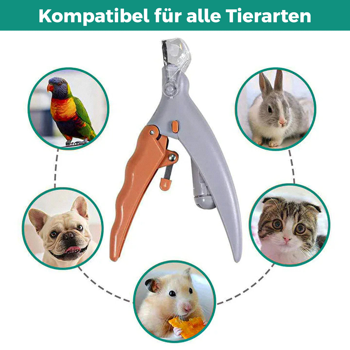 Beste nagelknipper voor honden met snelle sensoren