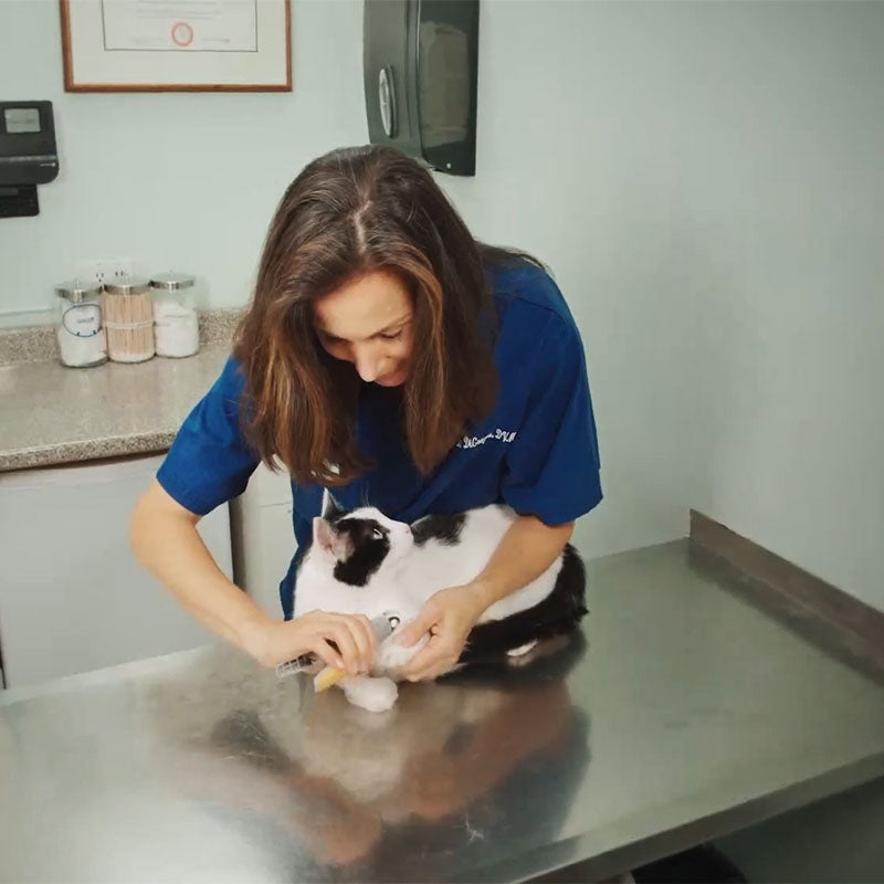 Beste nagelknipper voor honden met snelle sensoren