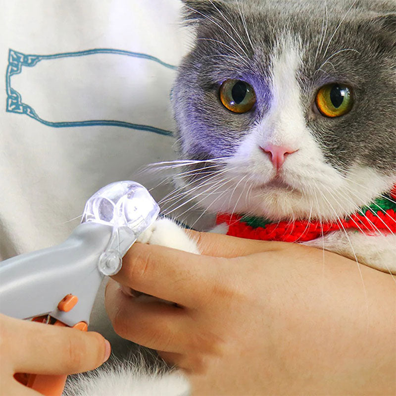 Beste nagelknipper voor honden met snelle sensoren
