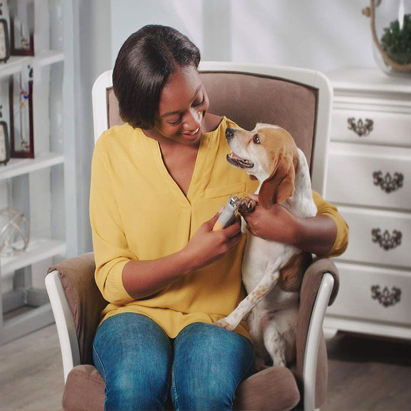Beste nagelknipper voor honden met snelle sensoren