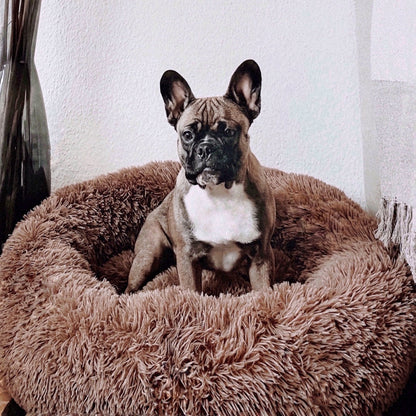 FluffyNest Comfort Hondenbed – Orthopedisch Pluche Ligkussen voor Honden
