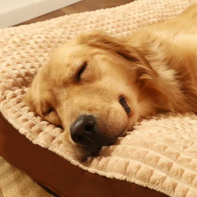 ComfyCanine - Orthopedisch Hondenbed voor Rust en Comfort