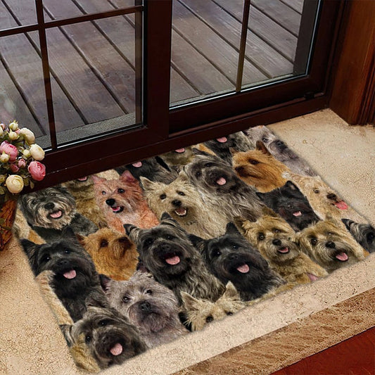 Groepje Cairn Terriers Deurmat
