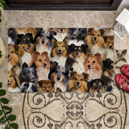 Groepje Shetland Sheepdogs/Shelties Deurmat