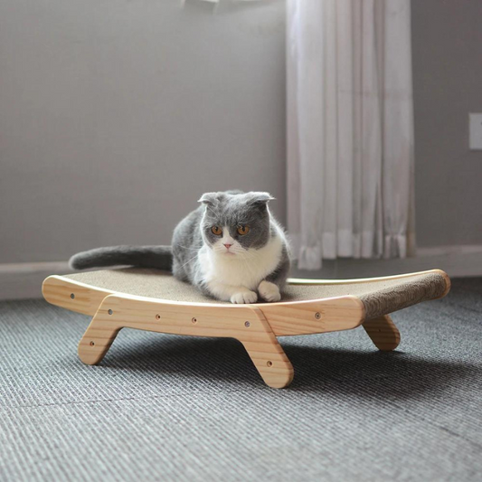 Katten Krabbed - Luna