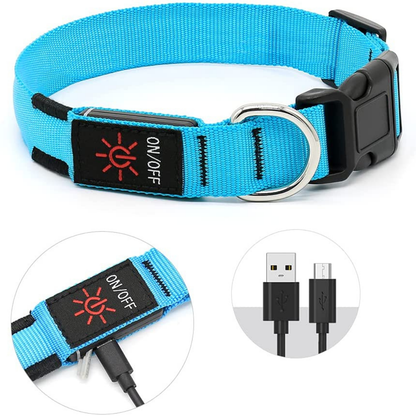 LED Hondenhalsband voor Veiligheid tijdens Avondwandelingen – Oplaadbaar en Verstelbaar