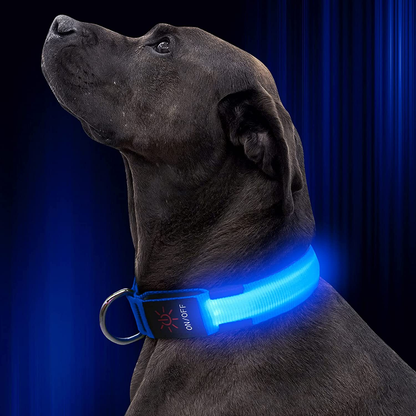 LED Hondenhalsband voor Veiligheid tijdens Avondwandelingen – Oplaadbaar en Verstelbaar