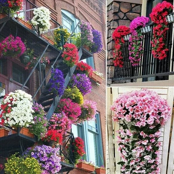 Levendige Bloemen voor Elk Interieur
