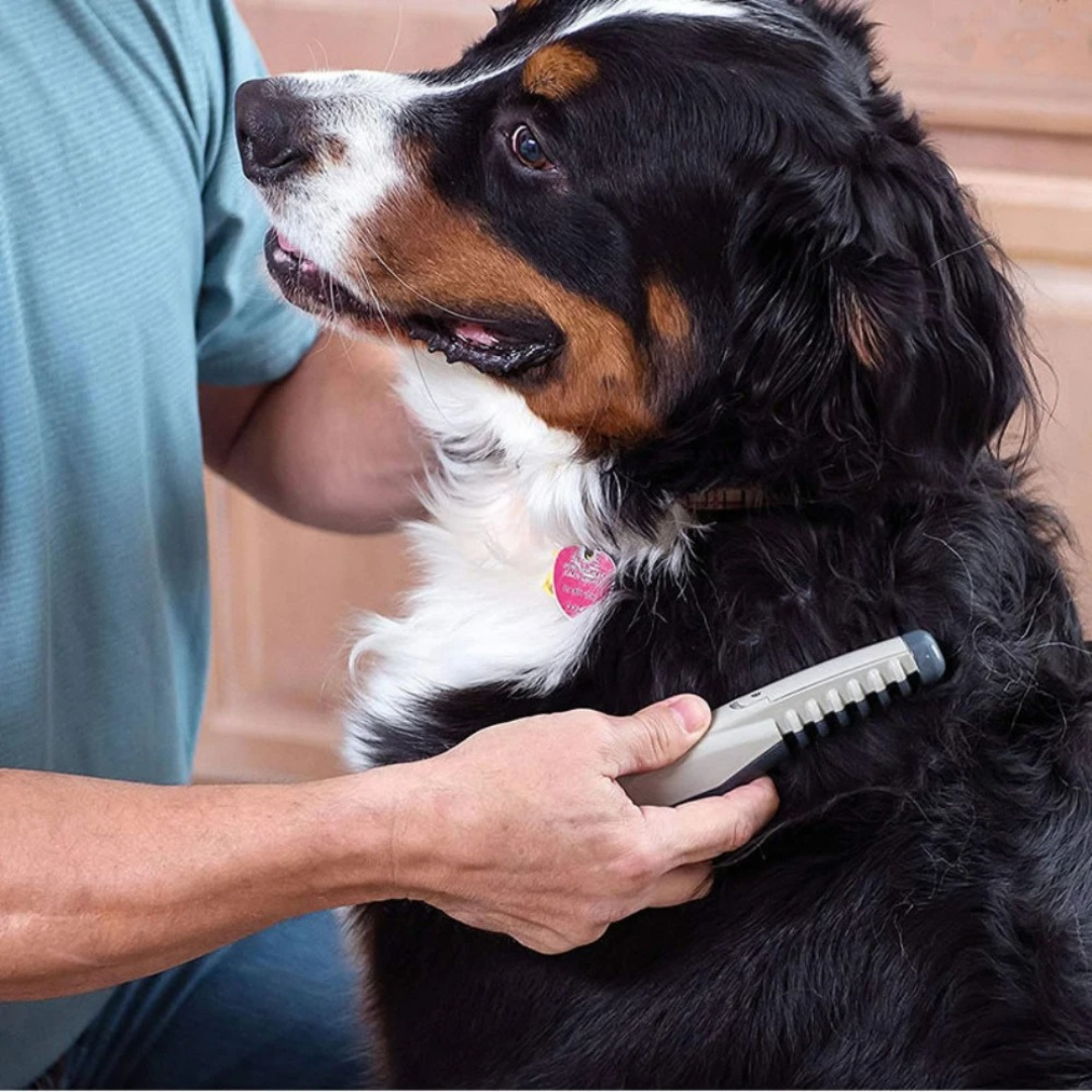 Dierenvacht Trimmer KnuffelZacht – Voor Katten en Honden met Elke Vachtsoort