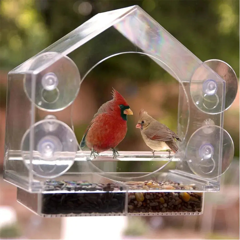 Vogelhuisje voor op je raam
