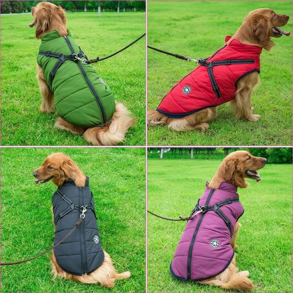 PawPaw - Warm & Waterdicht voor de Winter!