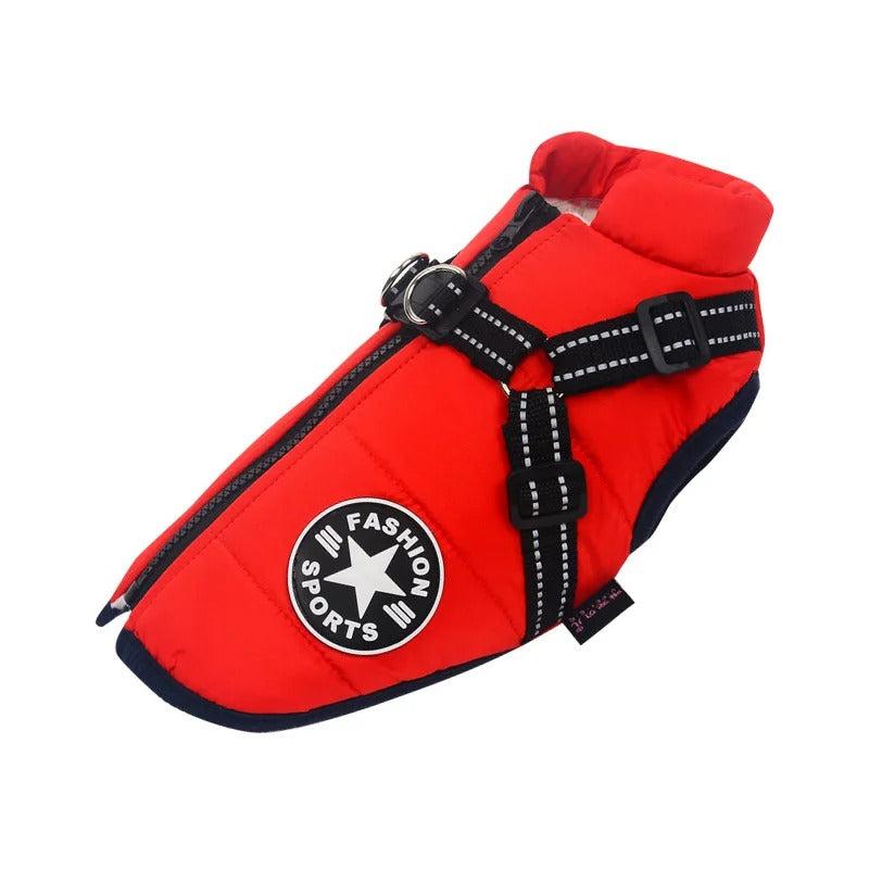 PawPaw - Warm & Waterdicht voor de Winter!