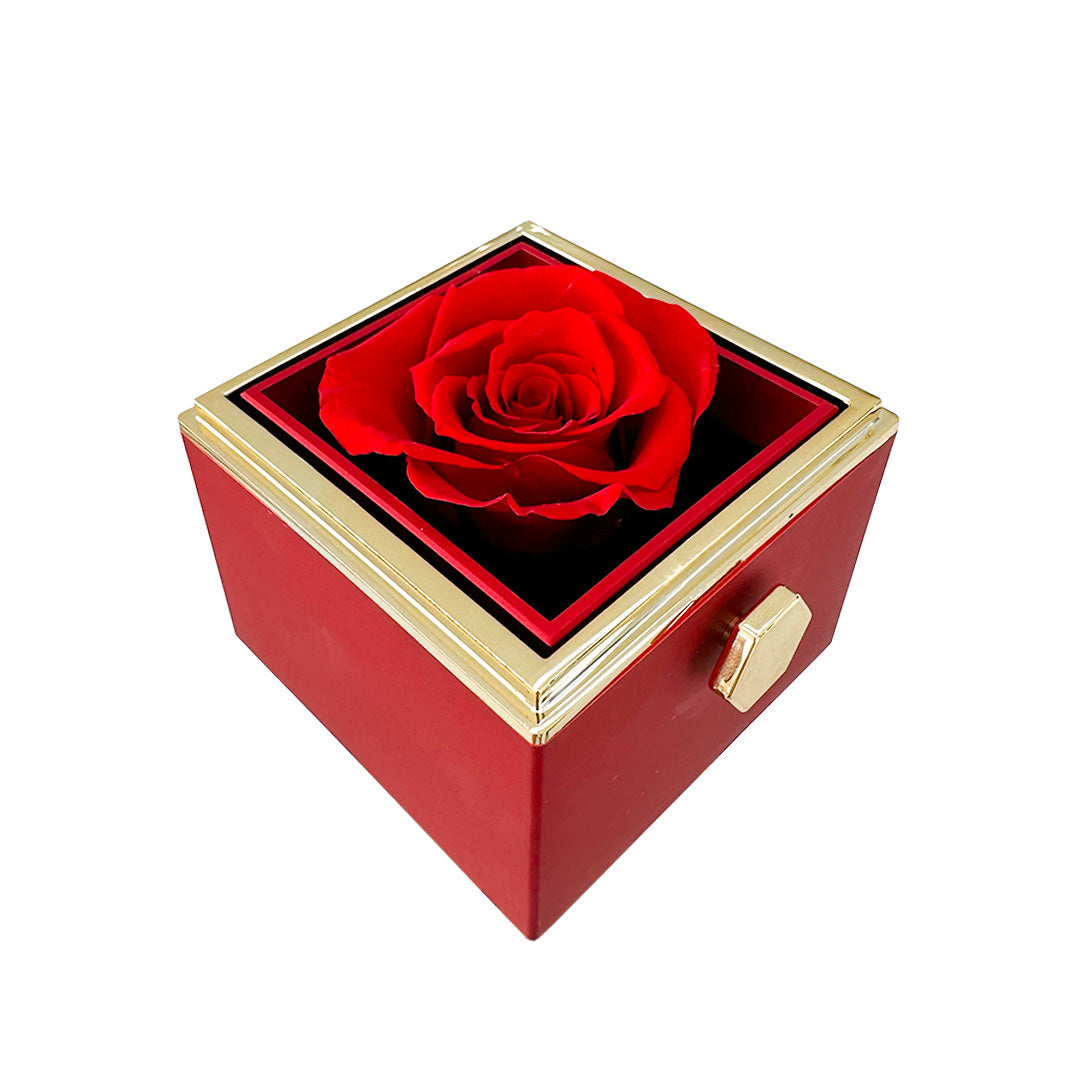 Cadeauset Roos & Ketting HartLicht – Eeuwige Roos met Verstopte Liefdesketing