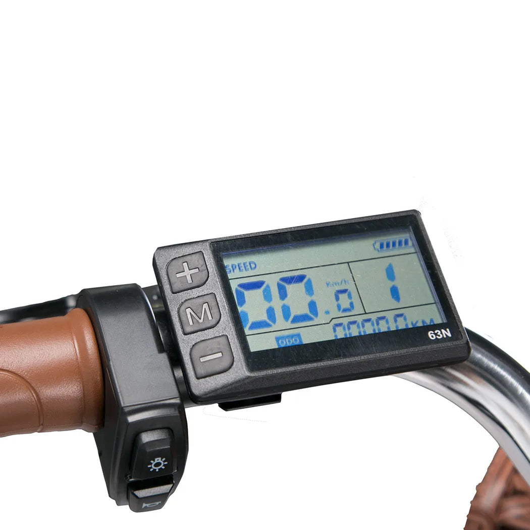 Cityrun Elektrische Fiets – Krachtig, Comfortabel en Praktisch