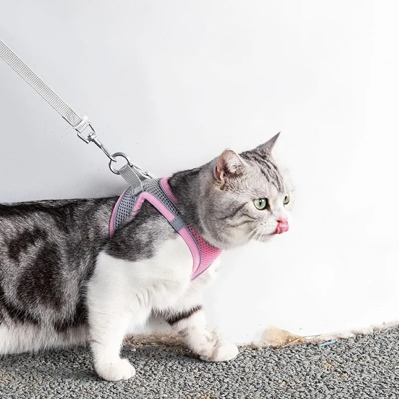 Avontuurlijk KattenHarnas met Lijn – Verstelbaar en Reflecterend