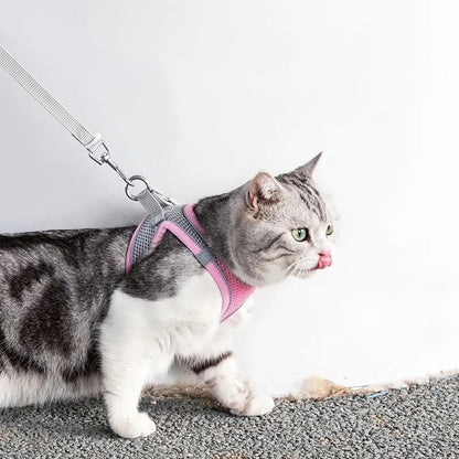 Avontuurlijk KattenHarnas met Lijn – Verstelbaar en Reflecterend