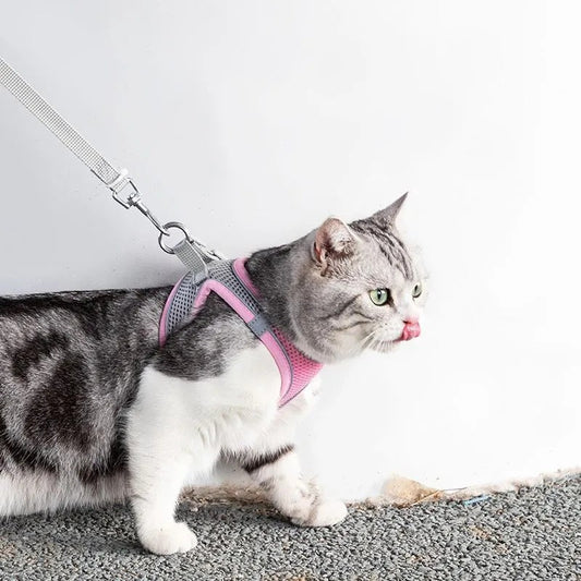 Avontuurlijk KattenHarnas met Lijn – Verstelbaar en Reflecterend