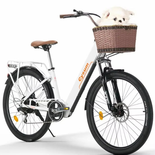 Cityrun Elektrische Fiets – Krachtig, Comfortabel en Praktisch
