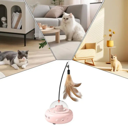 Catkomeet™ | Het Huisdierenspeeltje voor Achtervolging en Jacht!