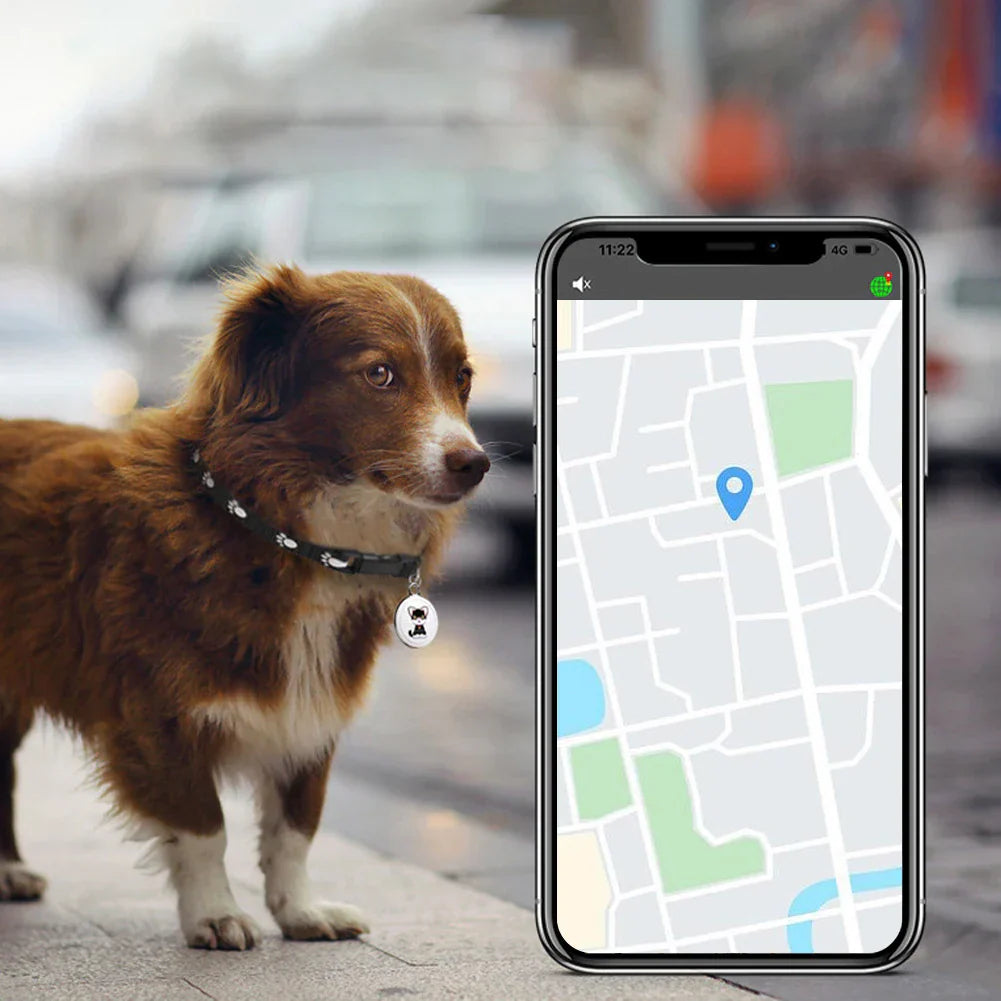 PawSecure GPS huisdierentracker – Waterdicht met realtime locatie via app