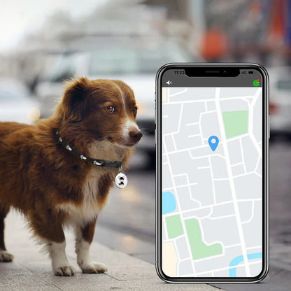PawSecure GPS huisdierentracker – Waterdicht met realtime locatie via app