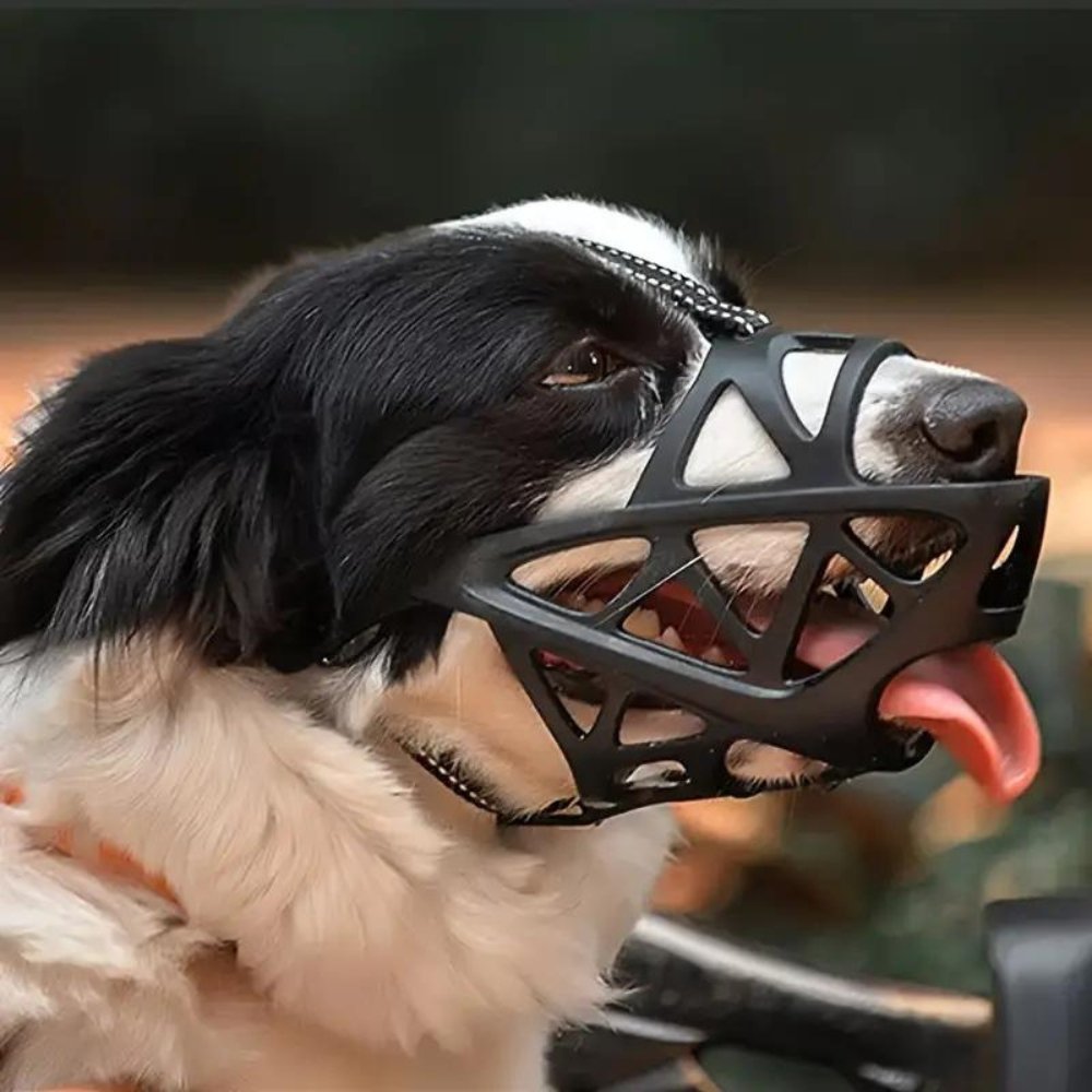 SafeBark Hondenmuilkorf – Effectieve Anti-Bijt en Anti-Blaf Oplossing, Ademend en Comfortabel