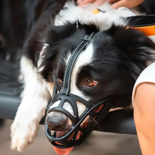 SafeBark Hondenmuilkorf – Effectieve Anti-Bijt en Anti-Blaf Oplossing, Ademend en Comfortabel