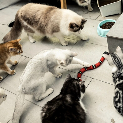 SpeelSnake Interactieve Elektrische Slang voor Katten