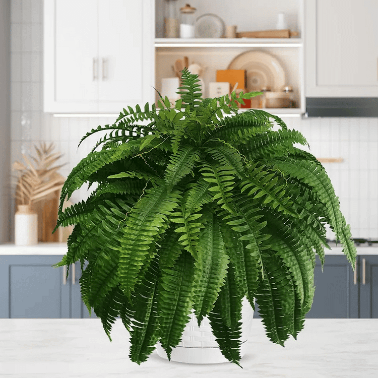 EverGreen Bostonvaren – Kunstplant met UV-bescherming en Weerbestendig Ontwerp
