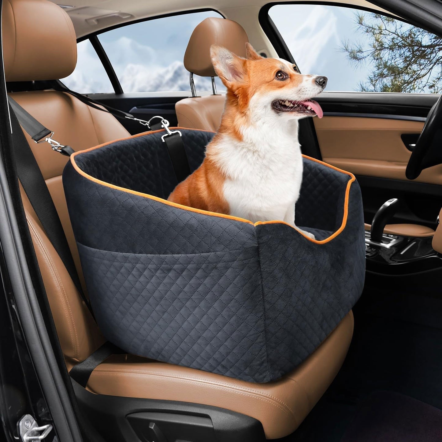 Verhoogd Hondenzitje voor Auto Reis | Comfortabele Auto Stoel voor Honden