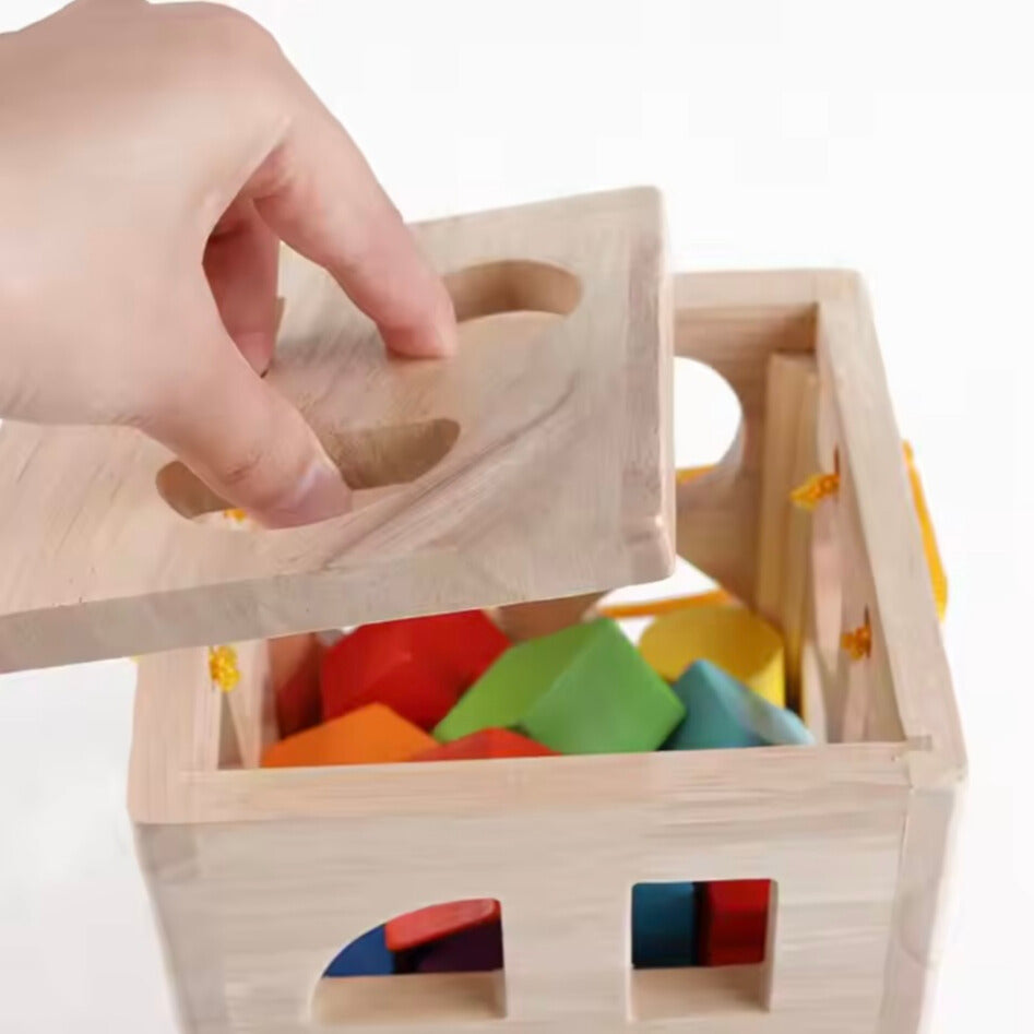 Geometrische Blokken – Educatief Speelgoed van Hout voor Creatieve Ontwikkeling en Motorische Vaardigheden