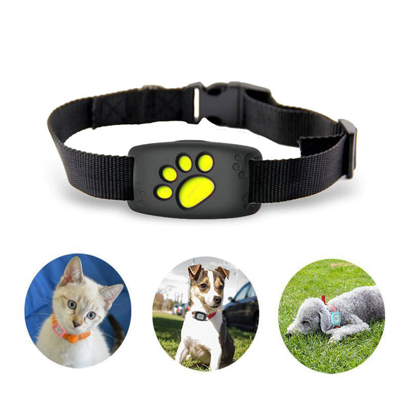 Huisdier GPS Tracker HalsKat – Zonder Abonnement en Waterdicht