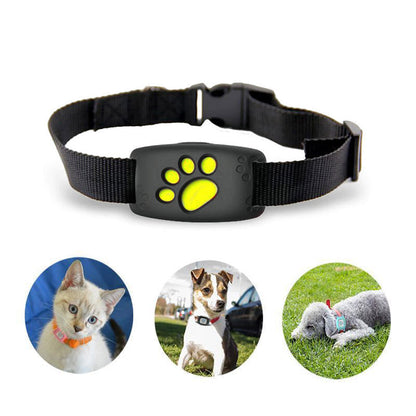 Huisdier GPS Tracker HalsKat – Zonder Abonnement en Waterdicht