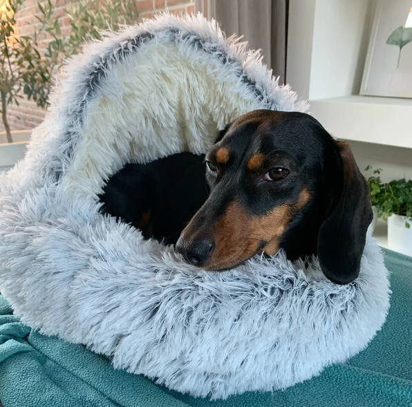 DogHome™ | De ultieme hondenmand!