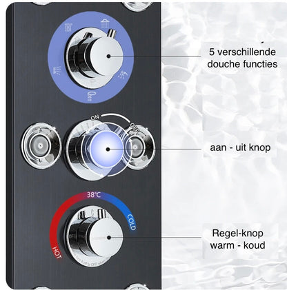 Douchepaneel Opbouwdouche VoordeelPaleis® Sora Douchepaneel met hand- en voetendouche LCD Premium rvs brushed
