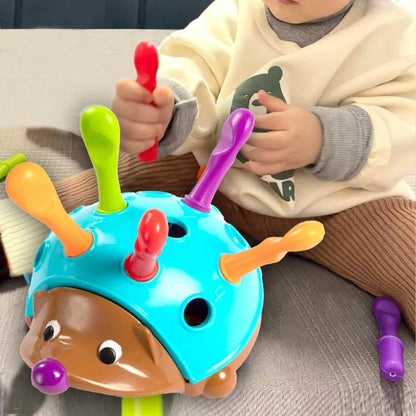 SensorySprout Montessori Egel – Educatief Sensorisch Speelgoed voor Kinderen